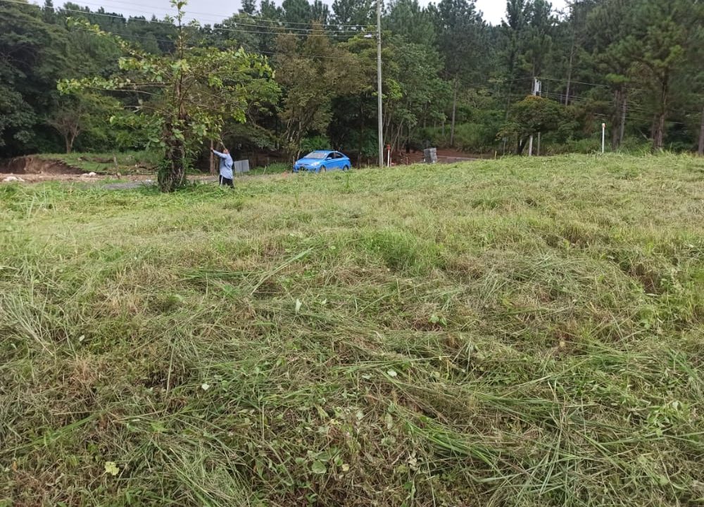 IMG-20221014-WA0045
