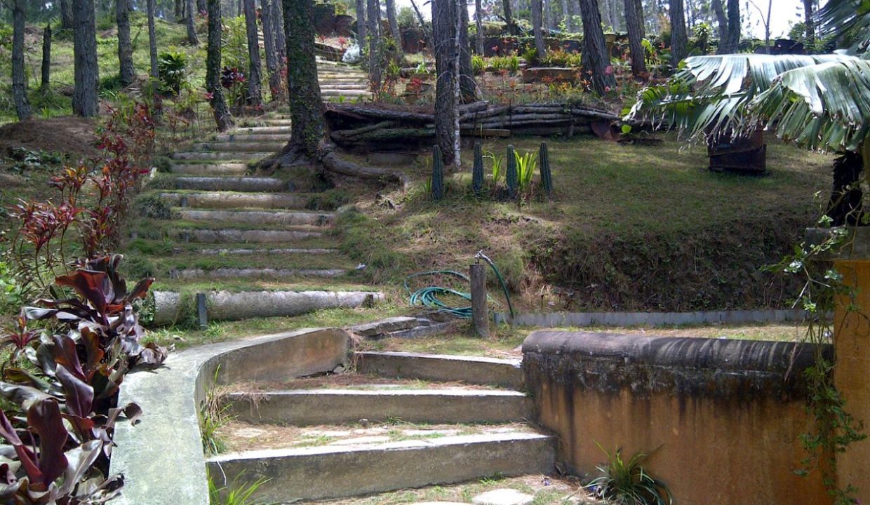 IMG-20240903-WA0045