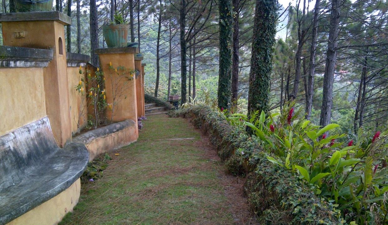 IMG-20240903-WA0046
