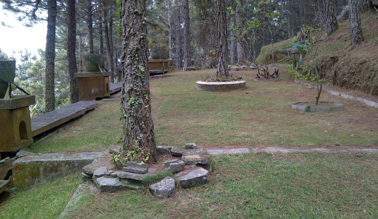 IMG-20240903-WA0047