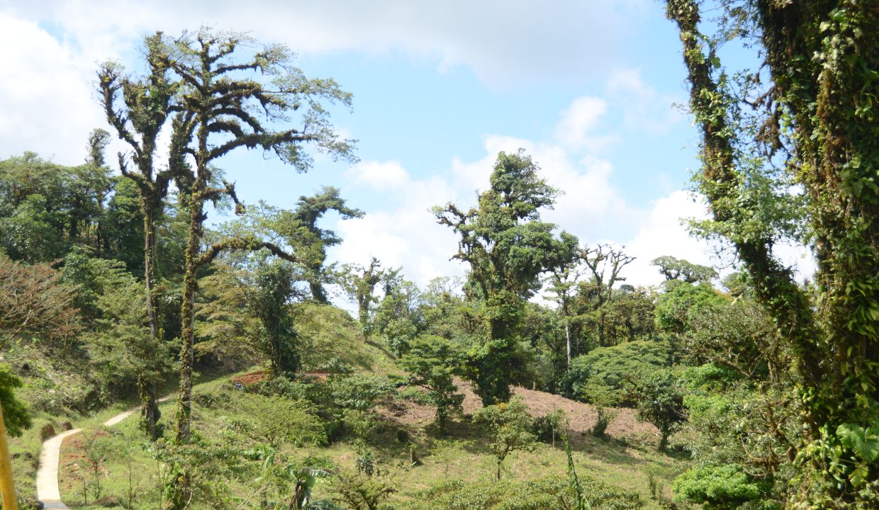 El Sendero del Birdwatching Sanctuary