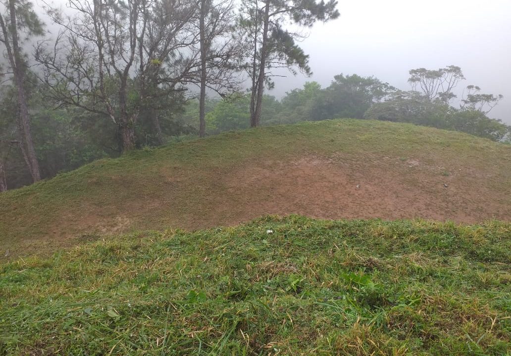 IMG-20220607-WA0048