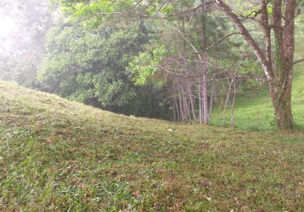 IMG-20220607-WA0049