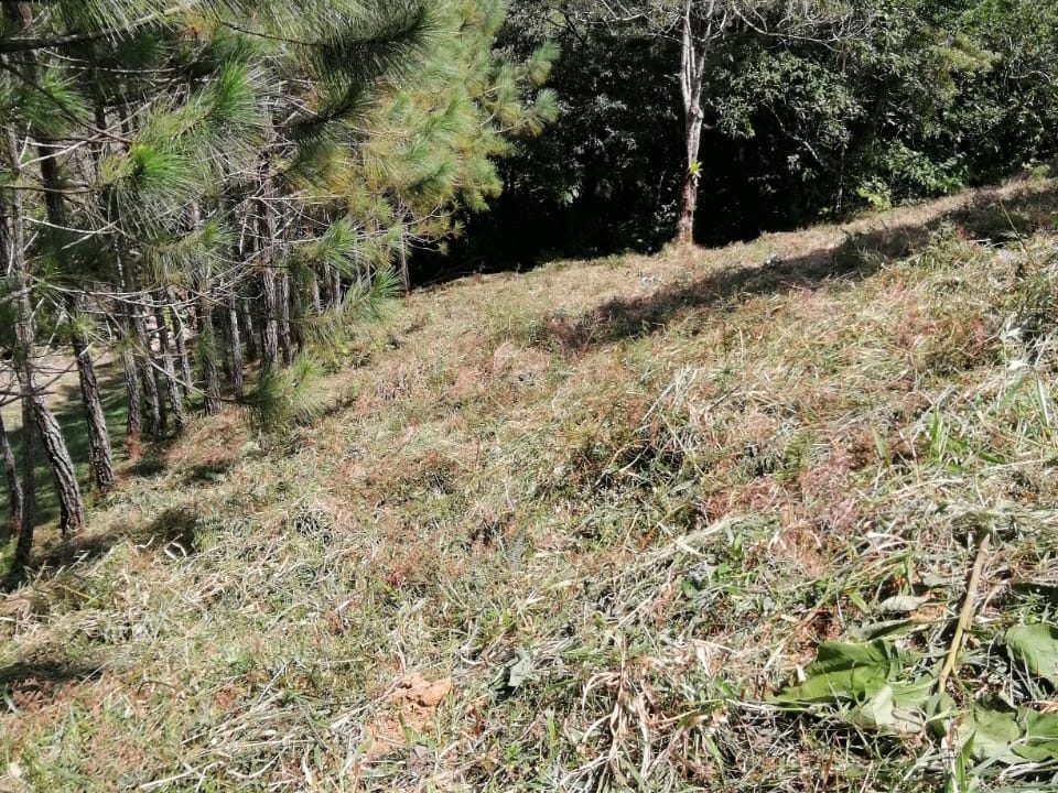 IMG-20220607-WA0050