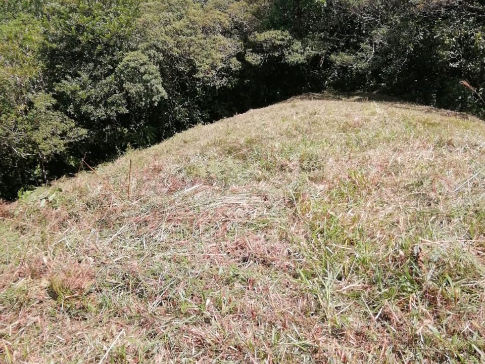 IMG-20220607-WA0051