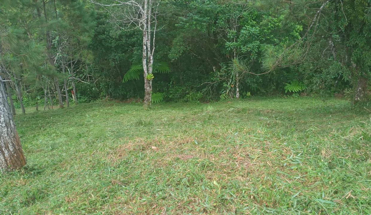 IMG-20220824-WA0086
