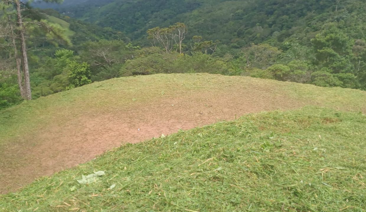 IMG-20220824-WA0088