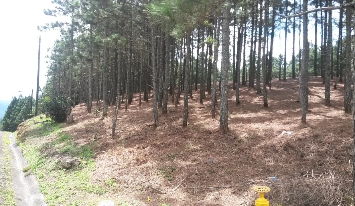20151025_105751