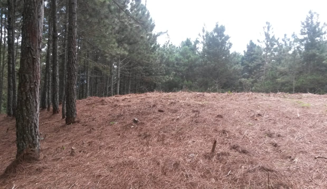 20151025_105824
