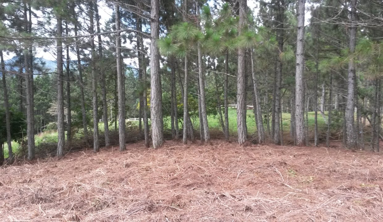 20151025_105852