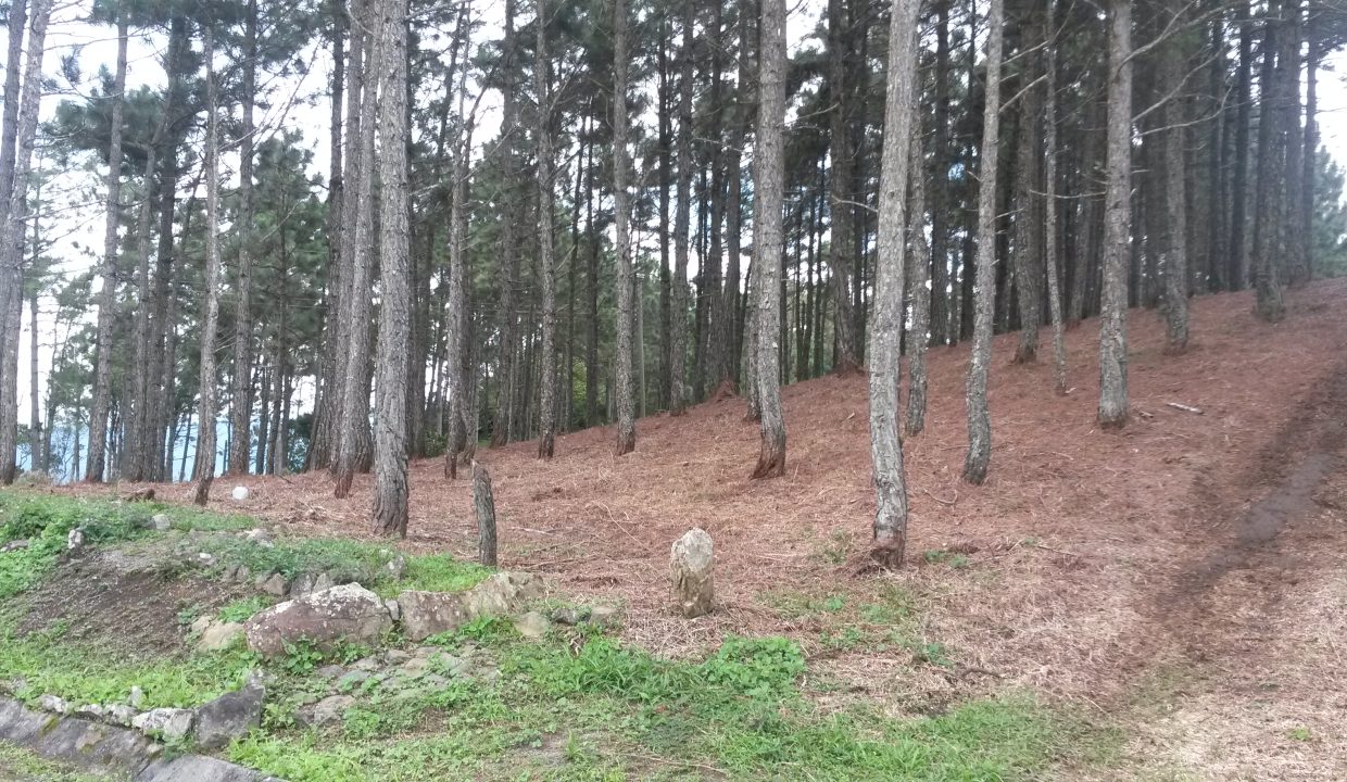 20151025_105949