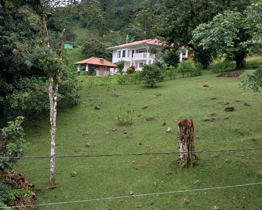 IMG-20240729-WA0022