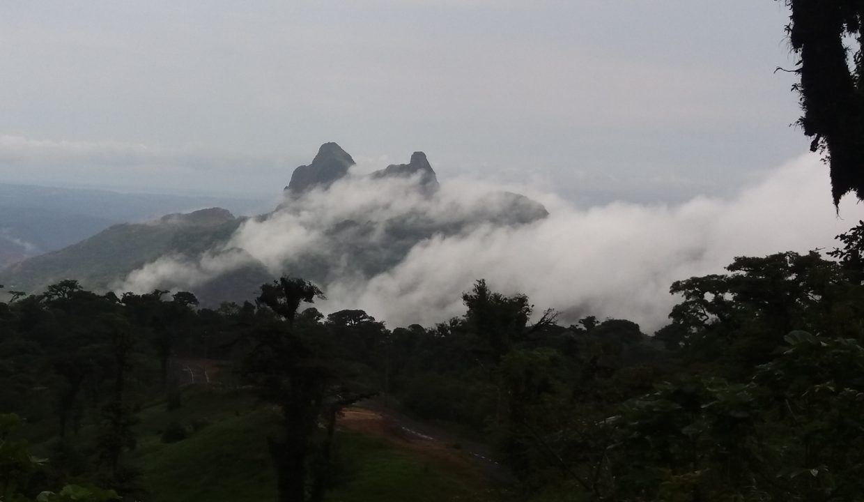20160501_133232