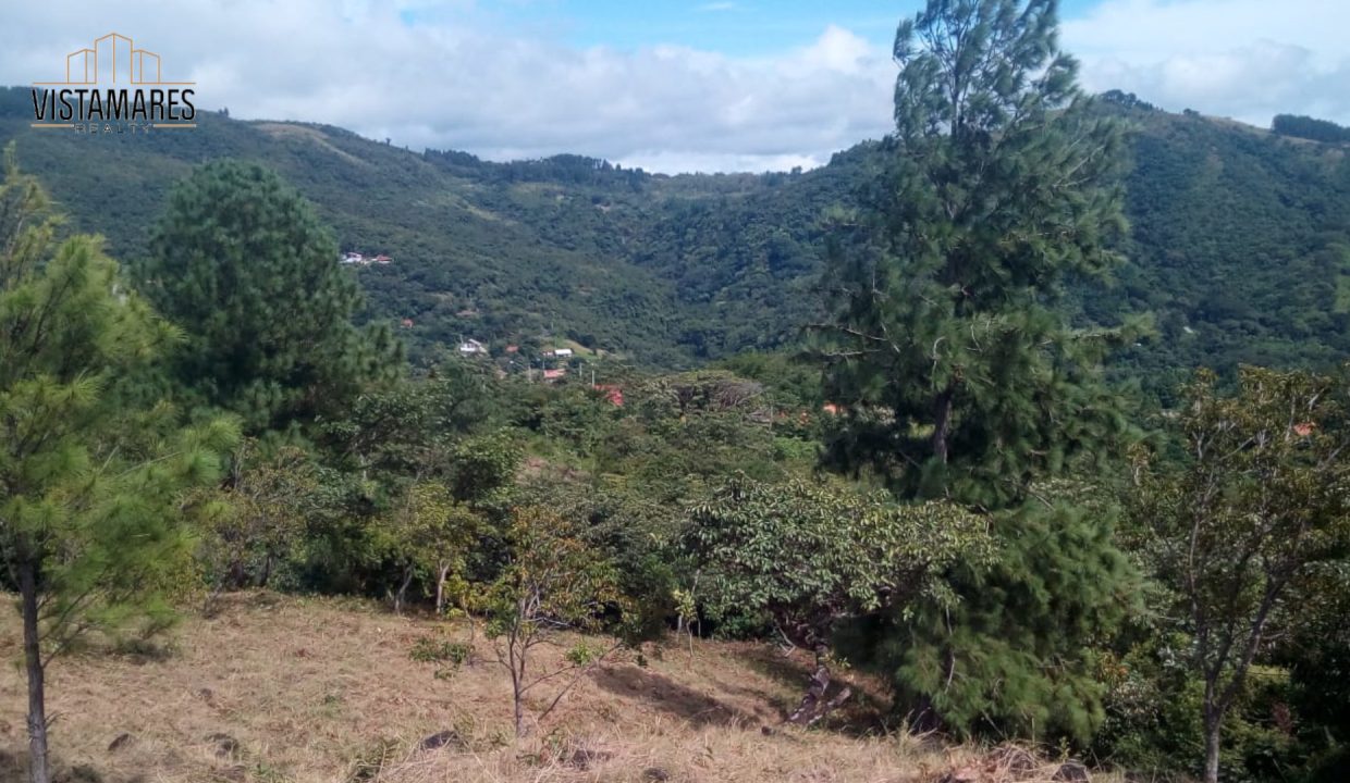 Lote11