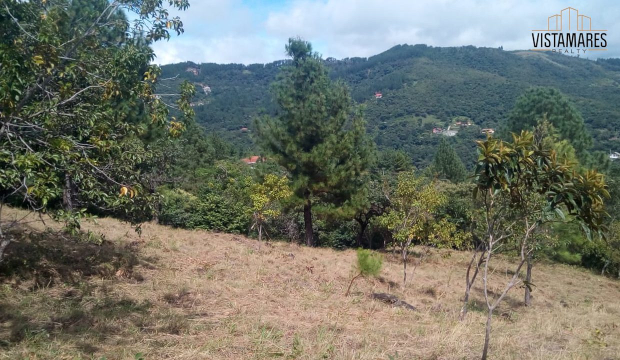 Lote12