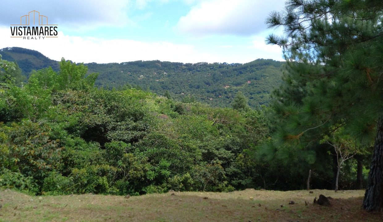 Lote2