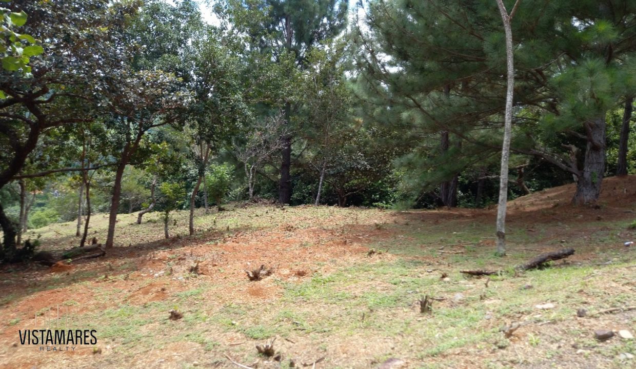 Lote3