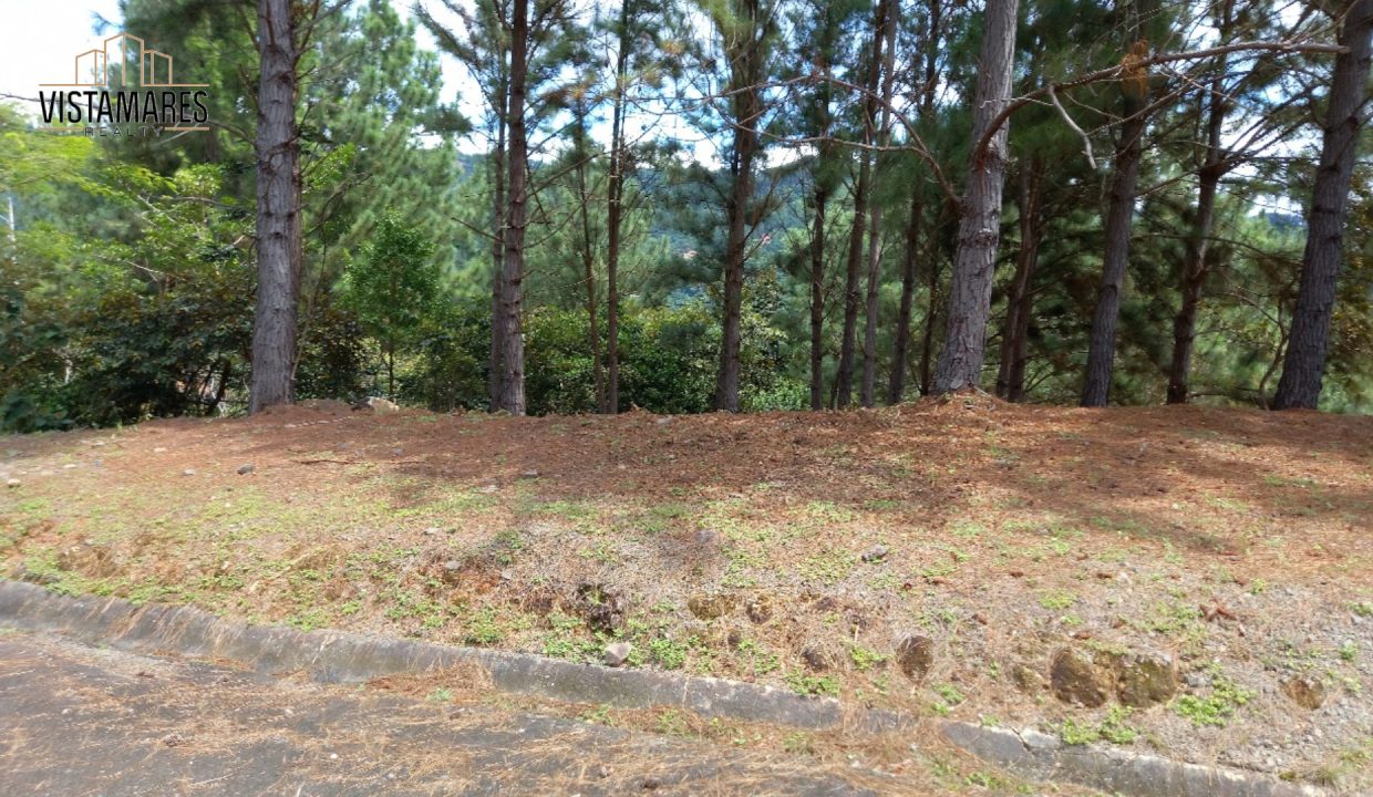 Lote4