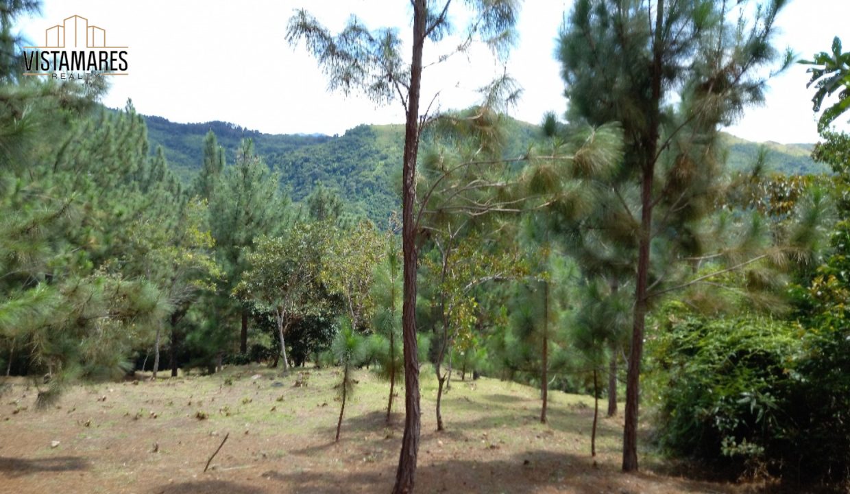 Lote5