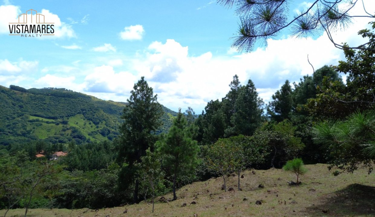 Lote8
