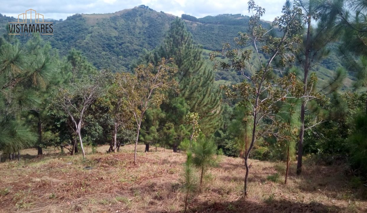 Lote9