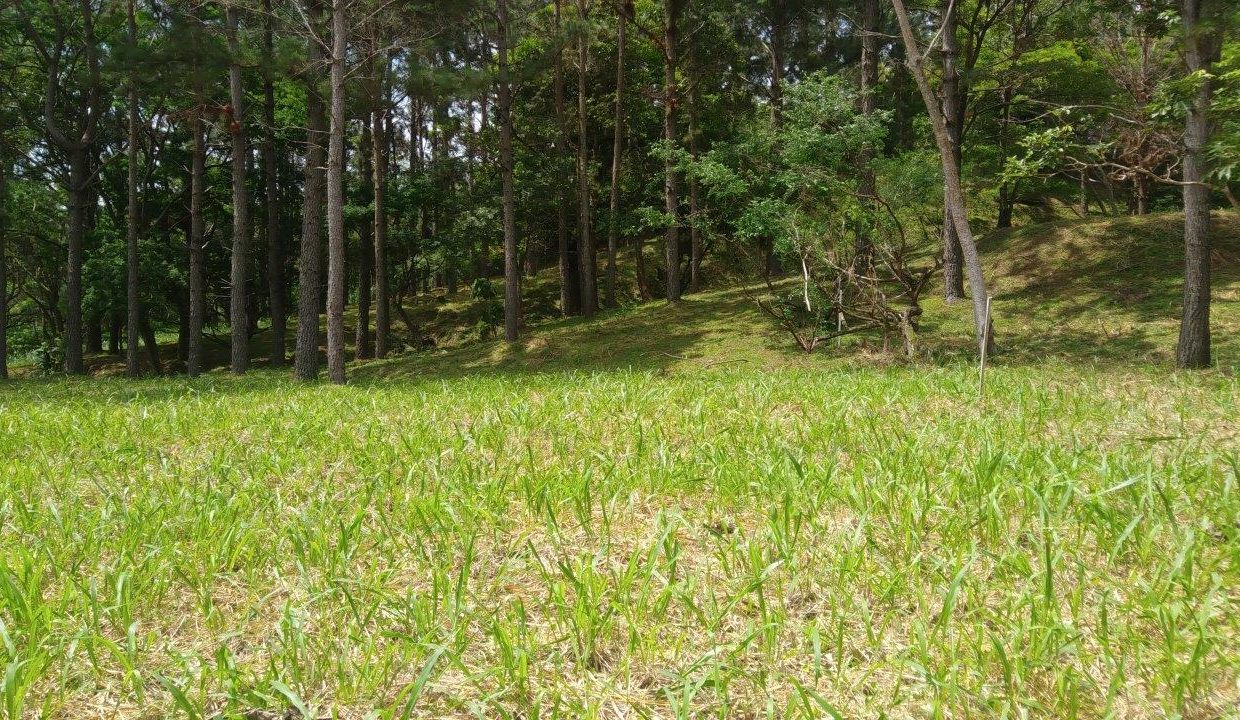 20190707_111205