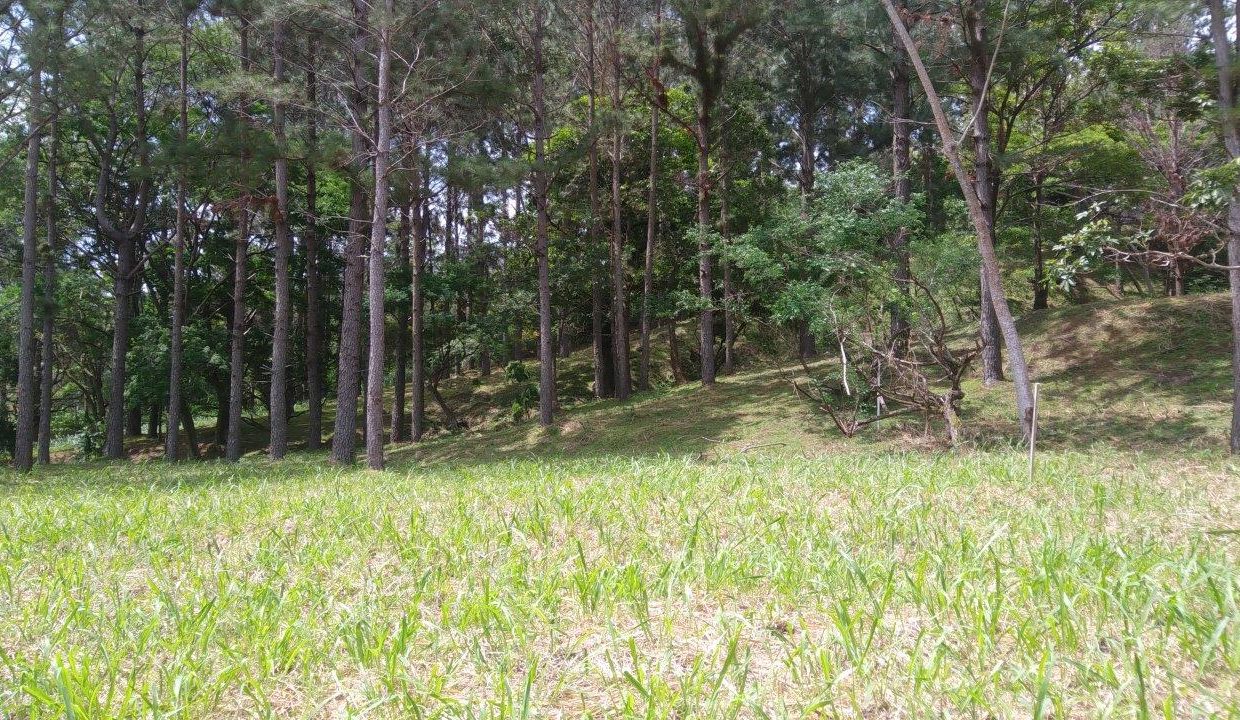 20190707_111216