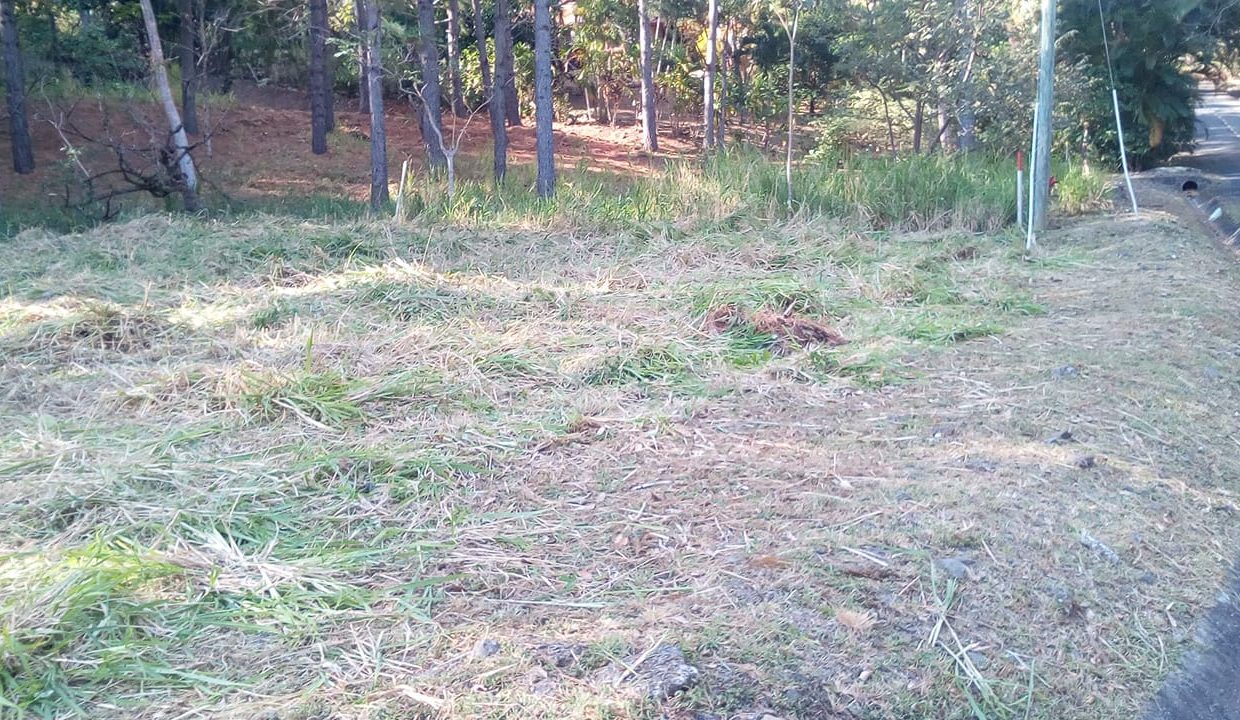 IMG-20190205-WA0030