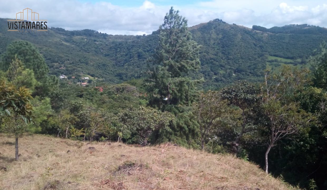 Lote10