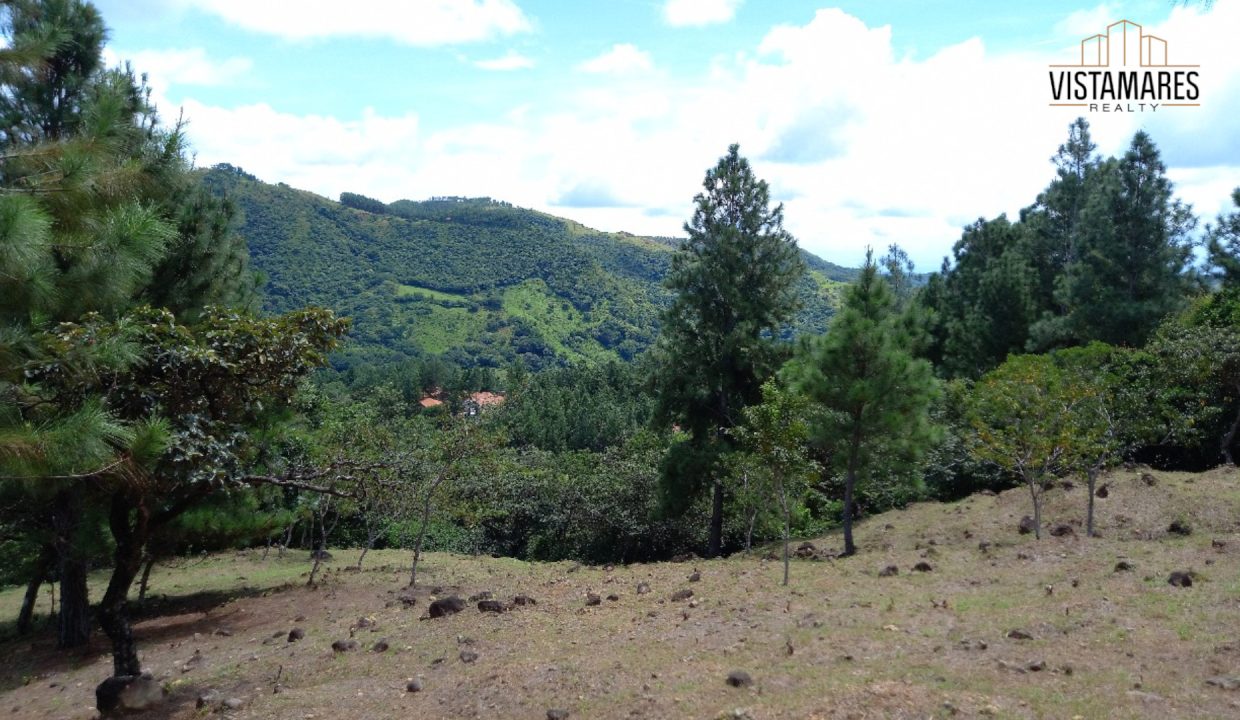Lote7