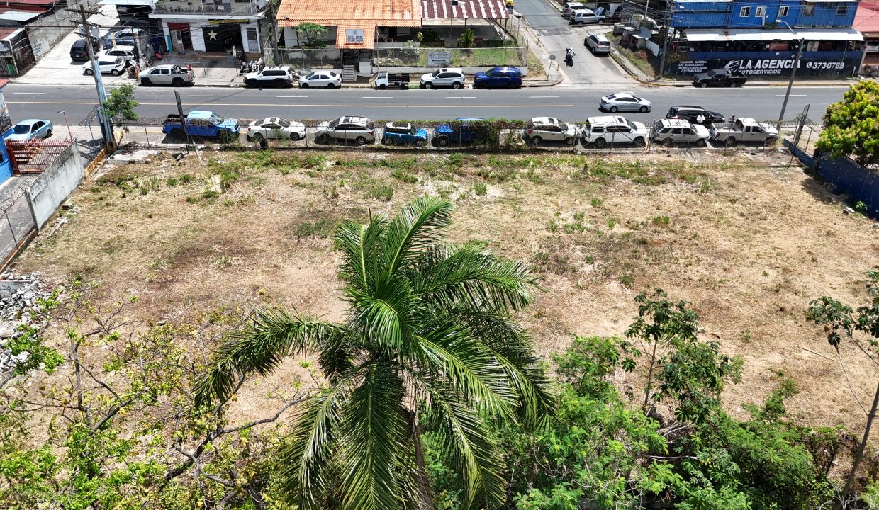 DJI_20260317114834_0501_D