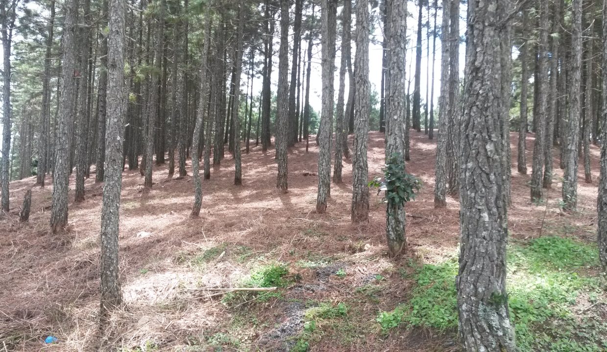 20151025_105741