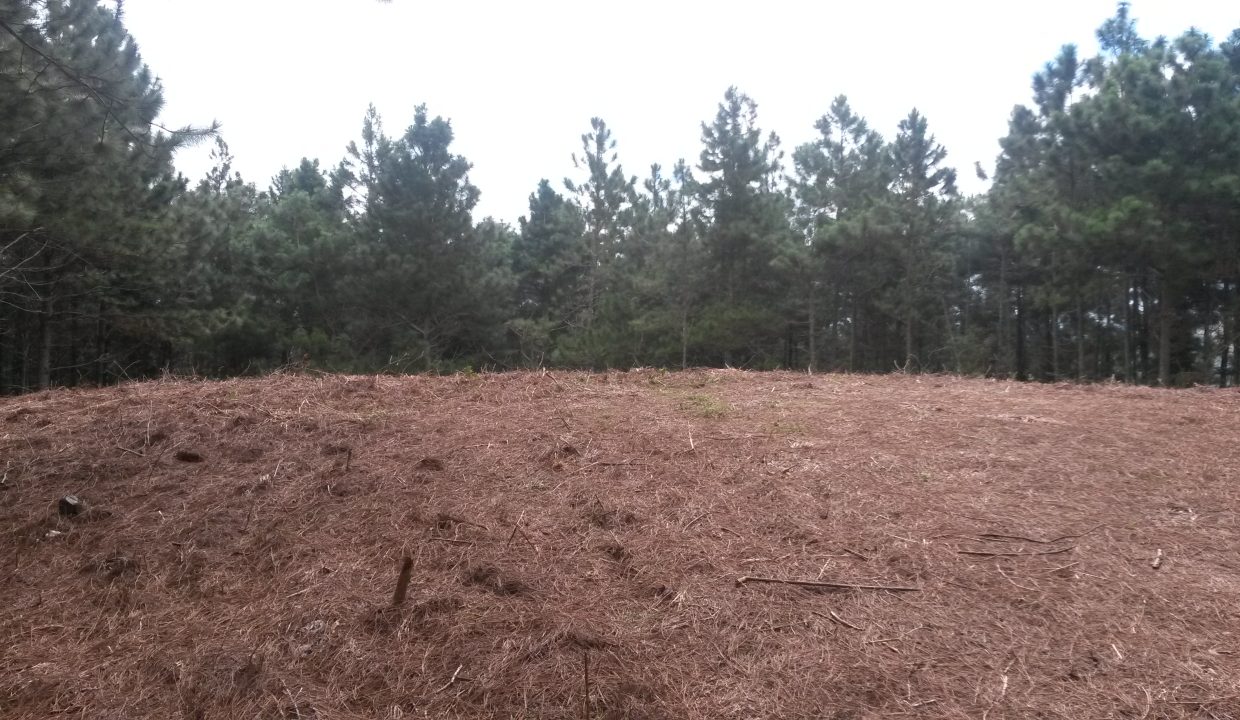 20151025_105825