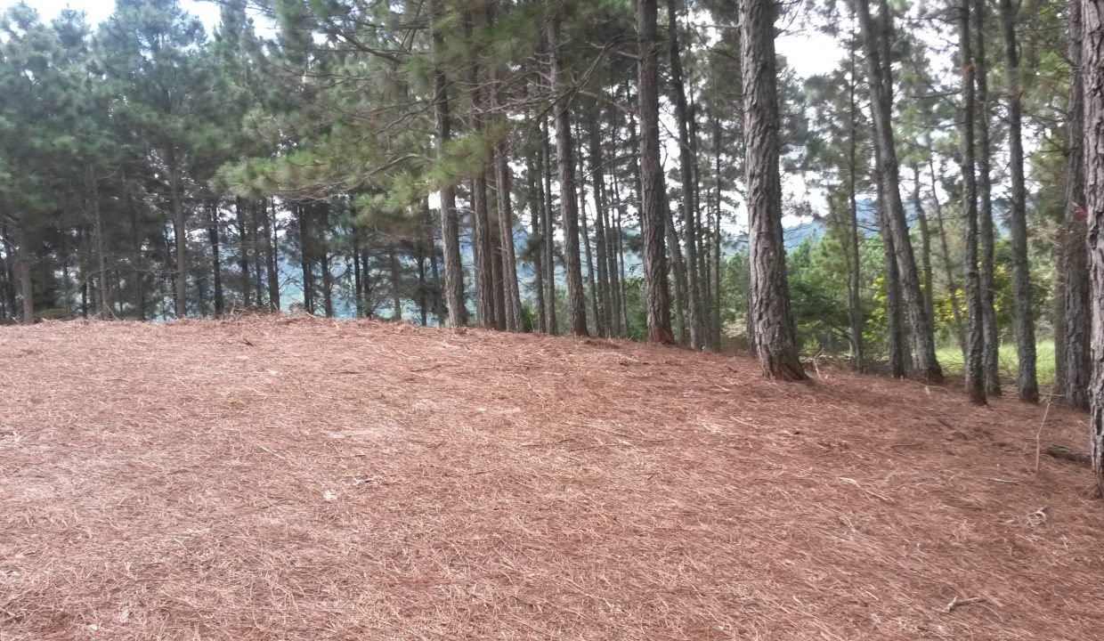 20151025_105829