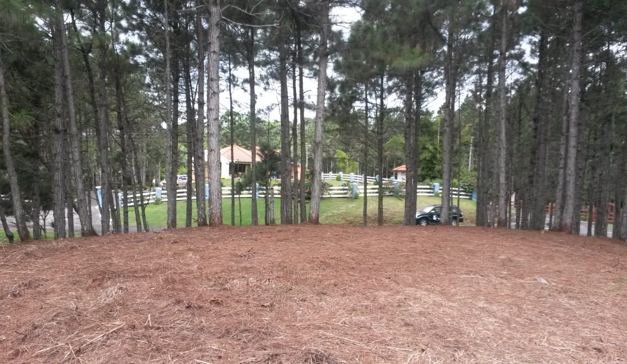 20151025_105856