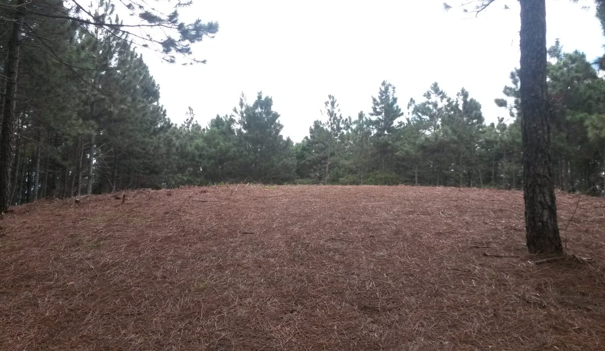 20151025_105924