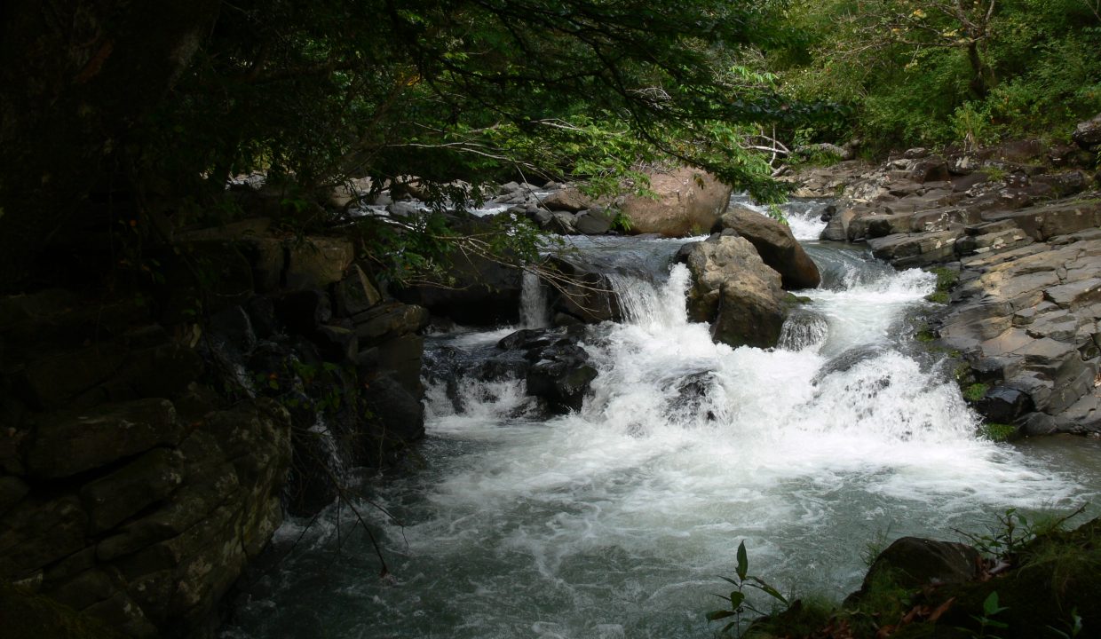 Rio Maria