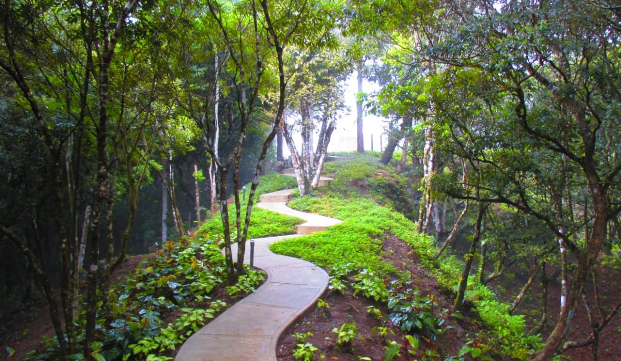 Sendero Luxury