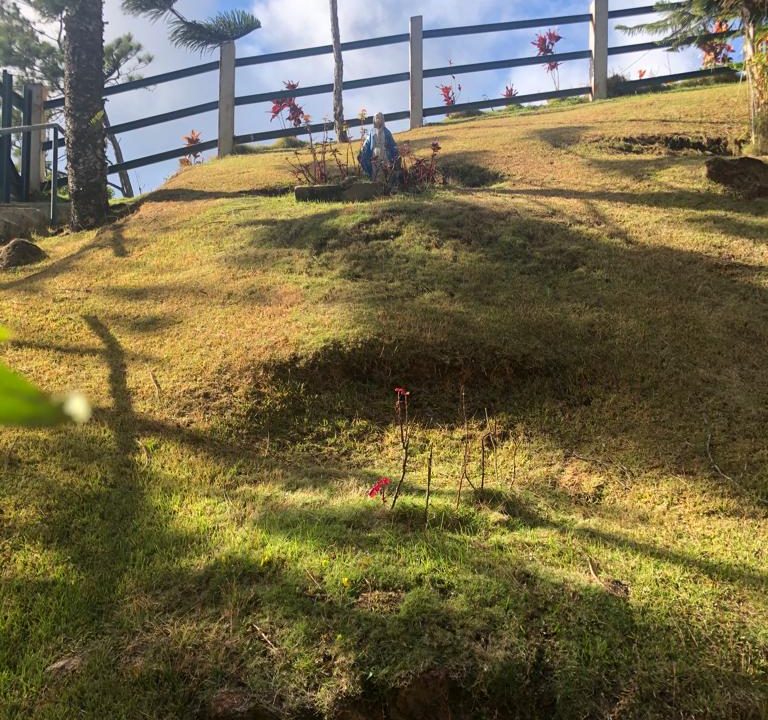 IMG-20230516-WA0024