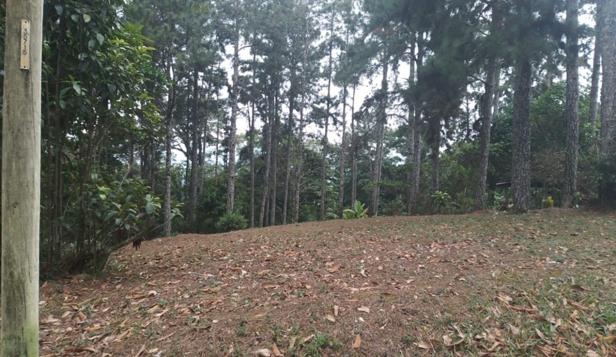 Vendo lote en Altos de Cerro Azul