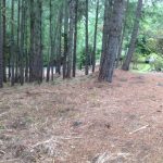 Vendo lote an Altos del María , Panamá