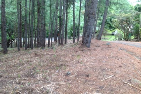 Vendo lote an Altos del María , Panamá