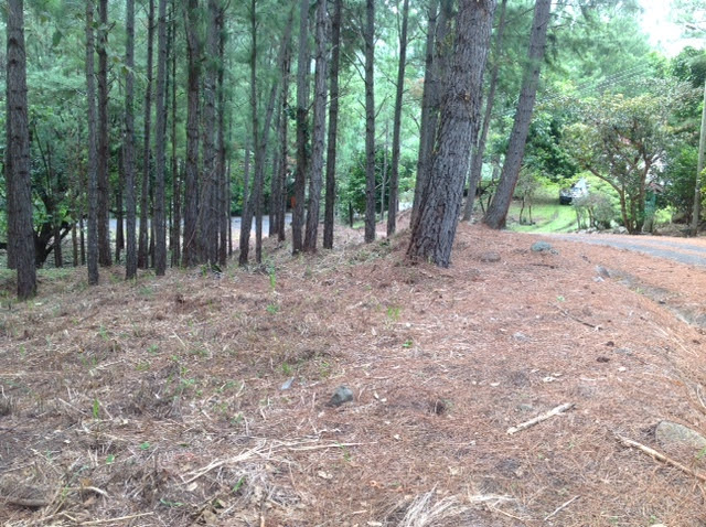 Vendo lote an Altos del María , Panamá