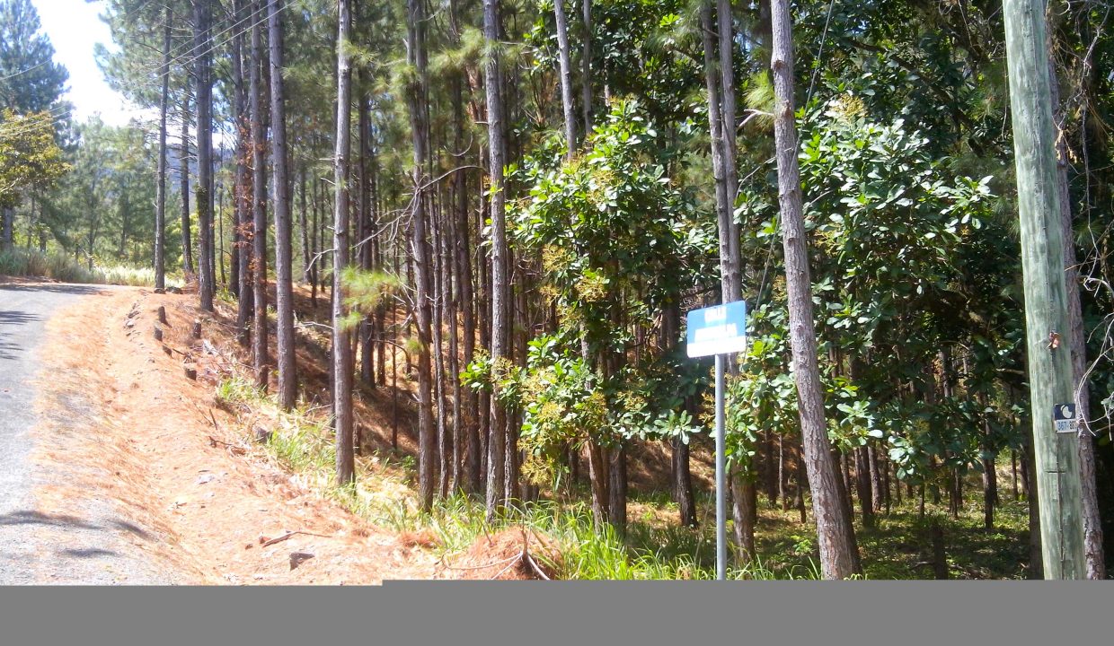 fea77a70-a4bb-4c84-ac72-c77b48894c28-1_all_4348