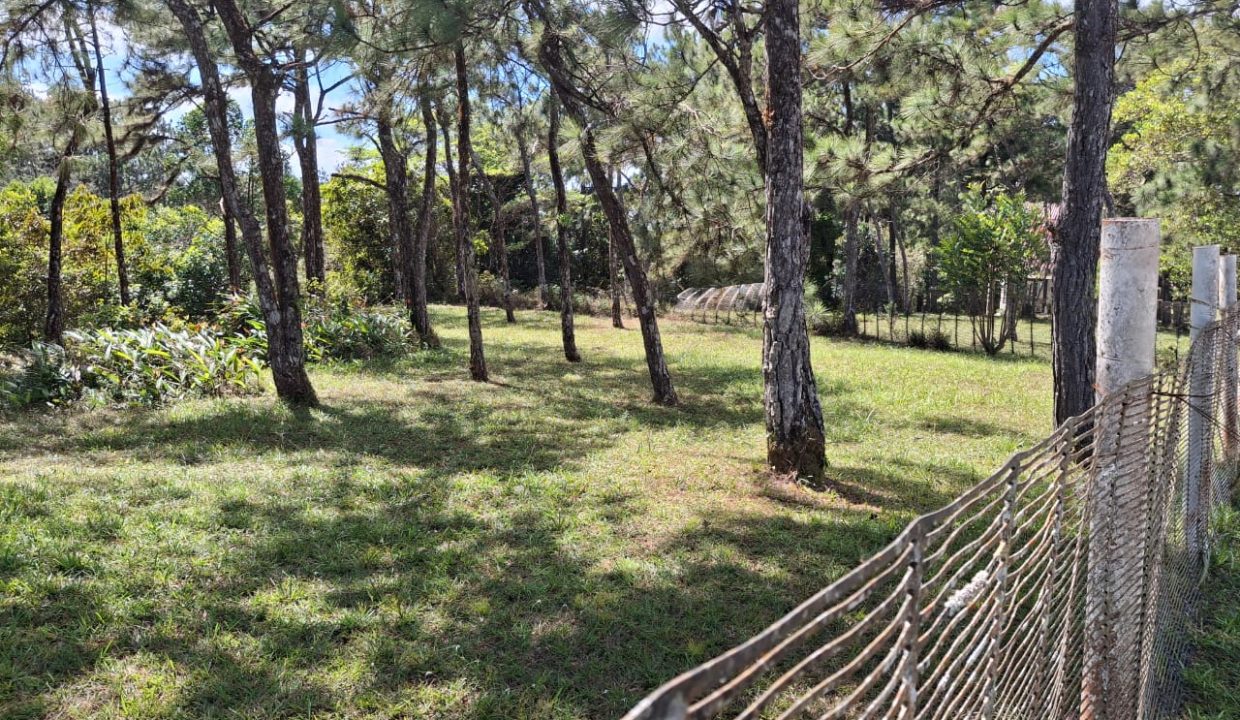 Vendo hermoso lote en Altos de Cerro Azul
