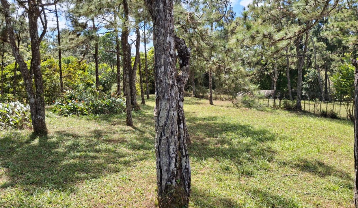 Vendo Lote en Altos de Cerro Azul