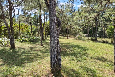 Vendo Lote en Altos de Cerro Azul