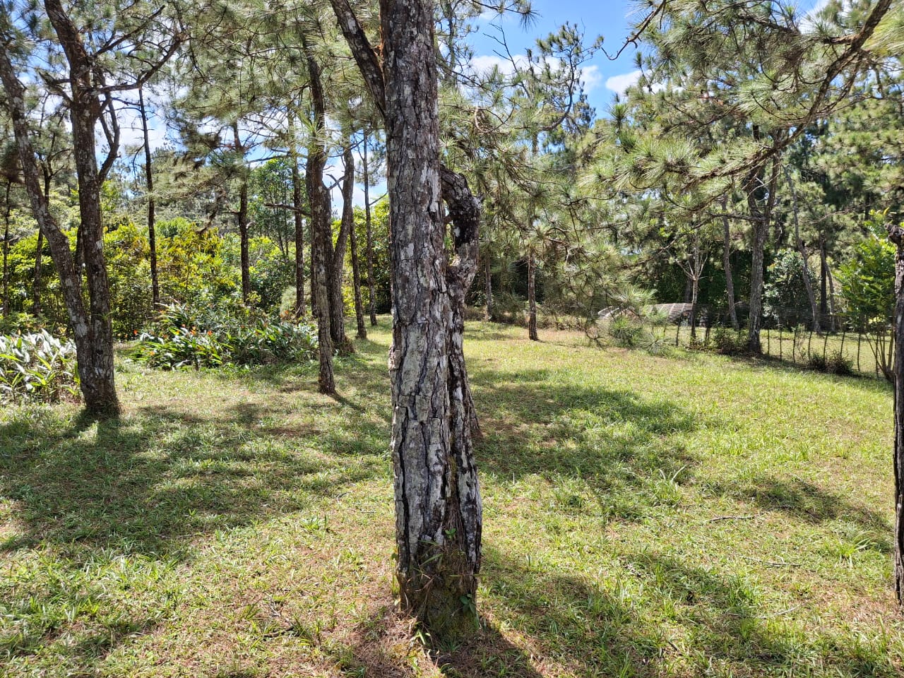 Vendo Lote en Altos de Cerro Azul