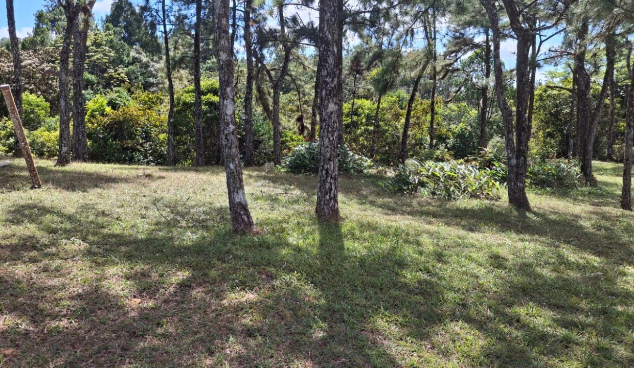 WhatsApp Image 2026-02-05 at 3.32.01 PM