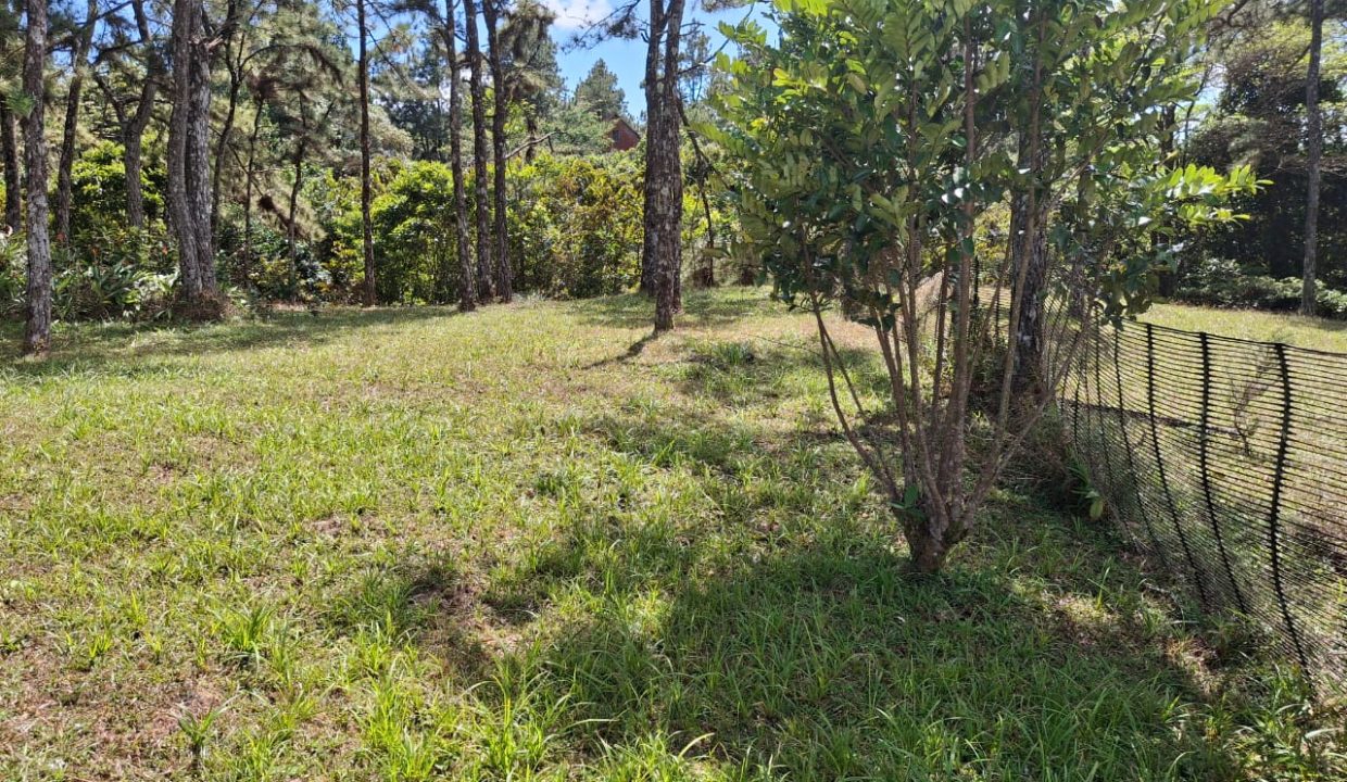 WhatsApp Image 2026-02-05 at 3.32.01 PM (2)